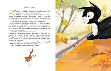 Фотография книги "Эрик-Эмманюэль Шмитт: Котёнок, который всего боялся"