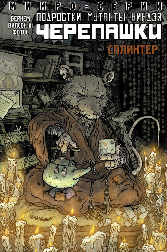 Обложка книги "Эрик Бернем: Подростки Мутанты Ниндзя Черепашки, микро-серии, Сплинтер"