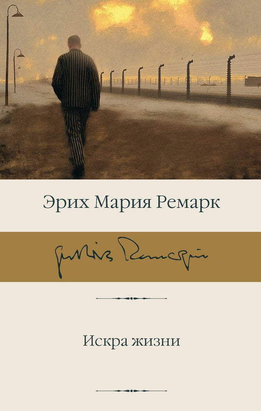 Обложка книги "Эрих Мария: Искра жизни"