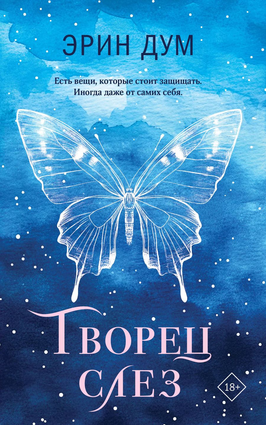 Обложка книги "Эрин Дум: Творец слез"