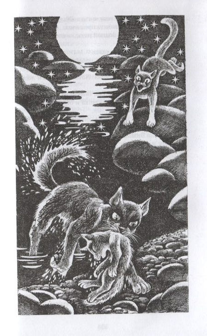 Фотография книги "Эрин Хантер: Гроза и Тень"