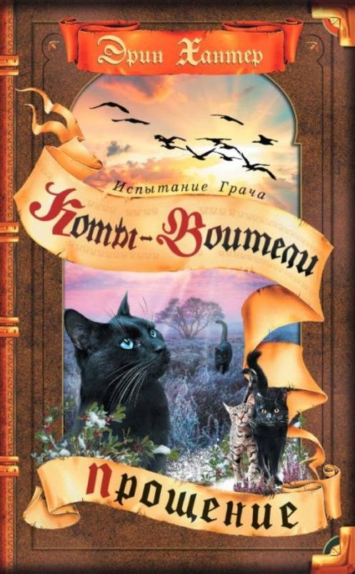 Обложка книги "Эрин Хантер: Испытание Грача. Прощение"