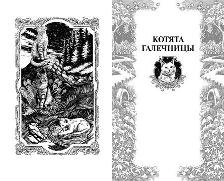 Фотография книги "Эрин Хантер: Коты-воители. Сборник. Нерассказанные истории. Секрет Мотылинки"