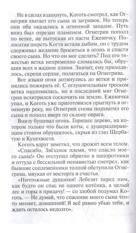 Фотография книги "Эрин Хантер: Нерассказанные истории. Ярость Когтя"