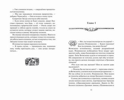 Фотография книги "Эрин Хантер: Огненная река"