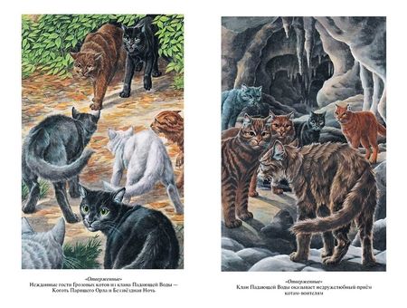 Фотография книги "Эрин Хантер: Отверженные. Затмение"