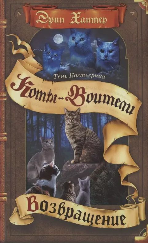 Обложка книги "Эрин Хантер: Тень Когтегрива. Возвращение"