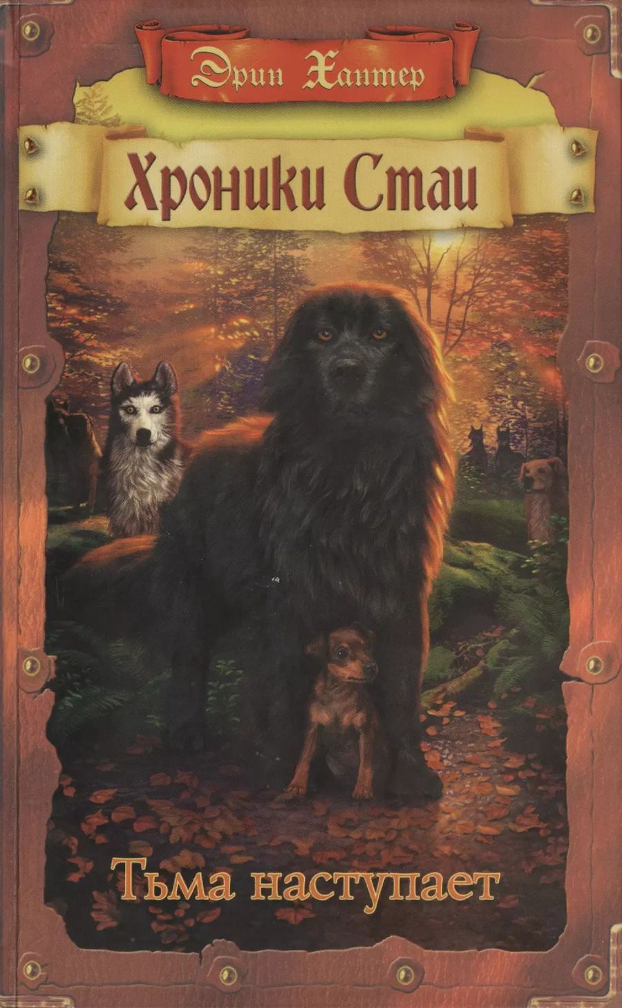 Обложка книги "Эрин Хантер: Тьма наступает"