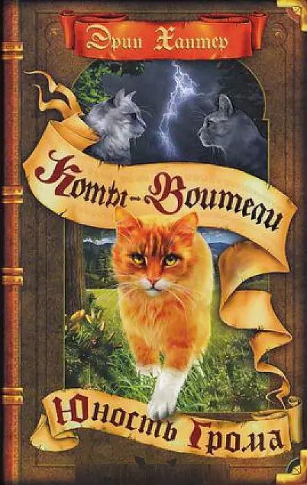 Обложка книги "Эрин Хантер: Юность Грома"