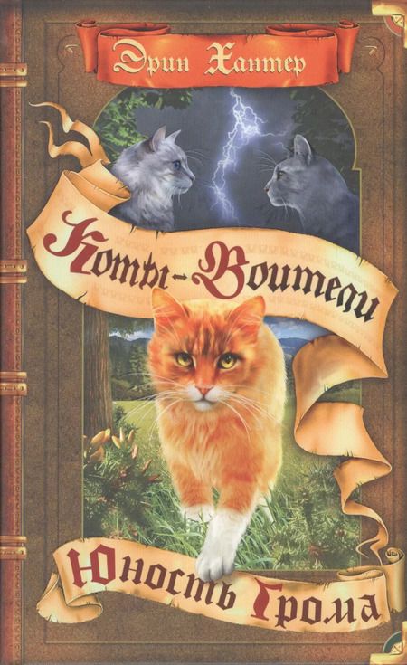 Фотография книги "Эрин Хантер: Юность Грома"