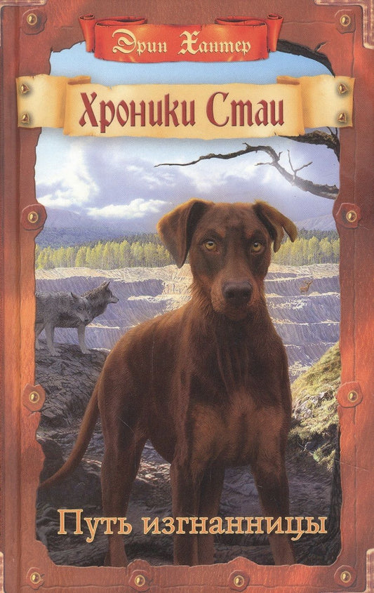 Обложка книги "Эрин ХантерПуть изгнанницы"