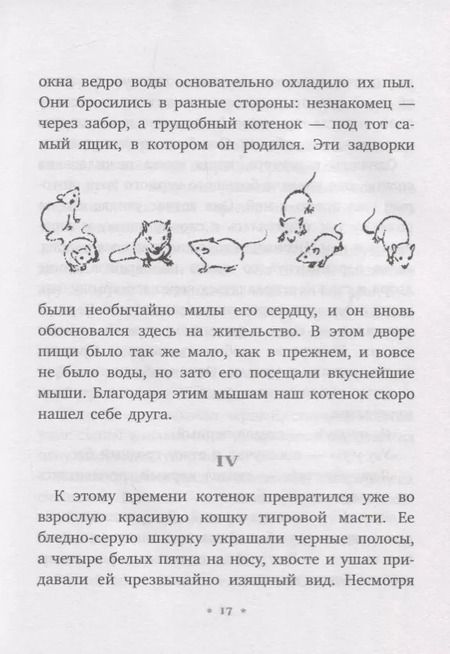 Фотография книги "Эрнест Сетон-Томпсон: Джек - боевой конек"