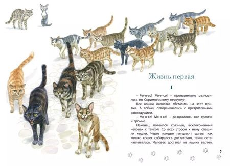 Фотография книги "Эрнест Сетон-Томпсон: Королевская Аналостанка: рассказ"