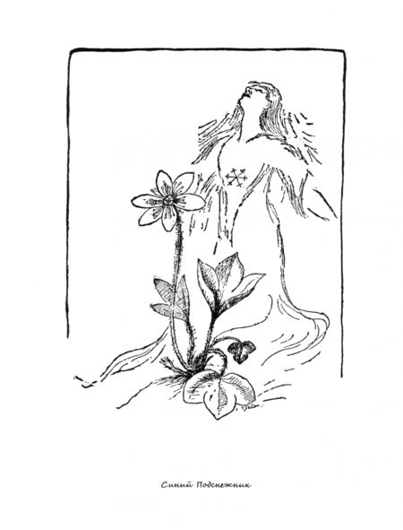 Фотография книги "Эрнест Сетон-Томпсон: Лесные рассказы"