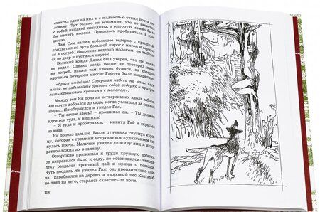 Фотография книги "Эрнест Сетон-Томпсон: Маленькие дикари"