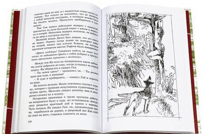 Фотография книги "Эрнест Сетон-Томпсон: Маленькие дикари"