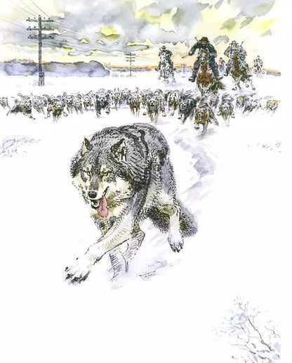 Фотография книги "Эрнест Сетон-Томпсон: Медвежонок Джонни"