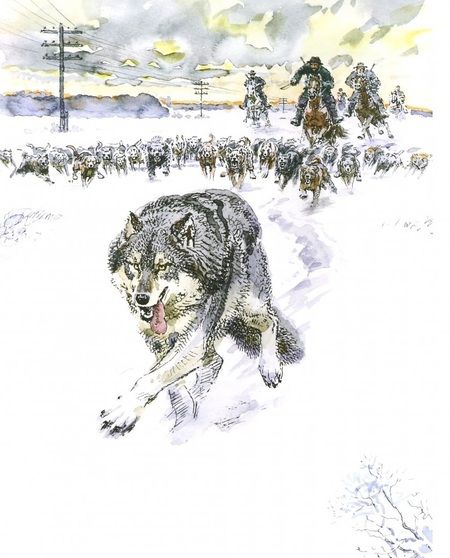 Фотография книги "Эрнест Сетон-Томпсон: Медвежонок Джонни"