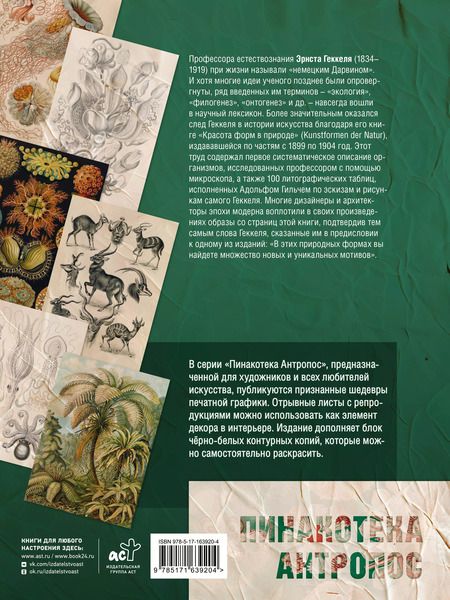Фотография книги "Эрнст Геккель: Красота форм в природе. Альбом старинных иллюстраций"