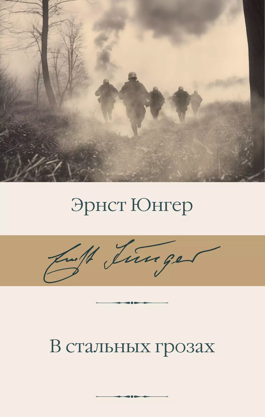 Обложка книги "Эрнст Юнгер: В стальных грозах"