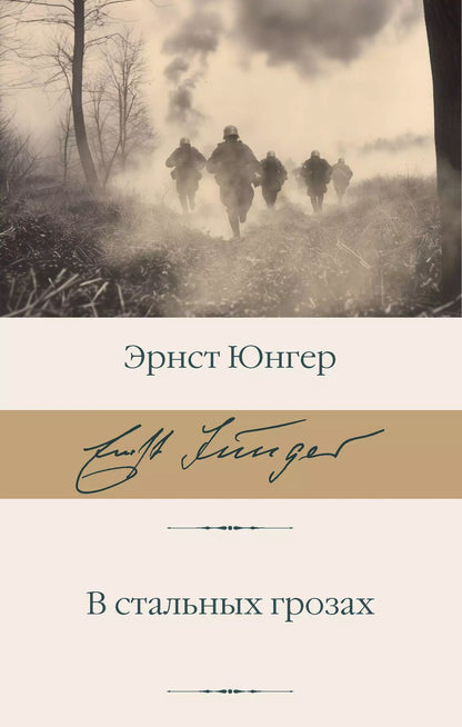 Обложка книги "Эрнст Юнгер: В стальных грозах"