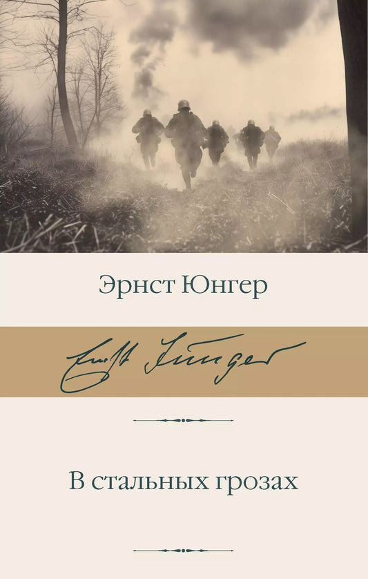Обложка книги "Эрнст Юнгер: В стальных грозах"