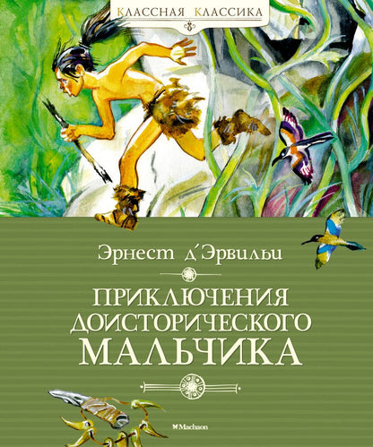 Обложка книги "Эрвильи: Приключения доисторического мальчика "