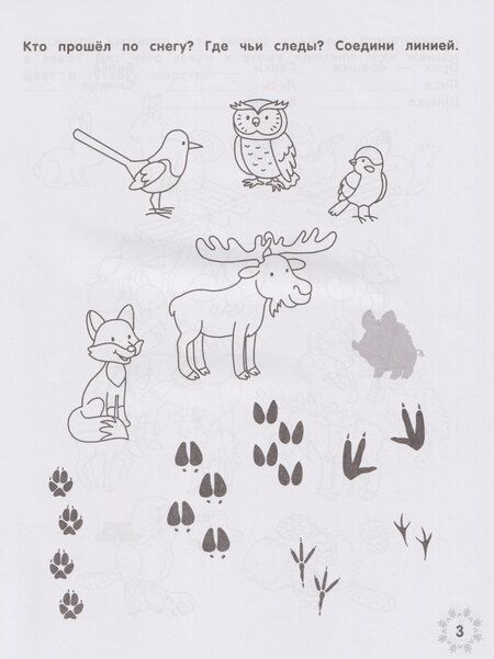 Фотография книги "Этери Николаевна: Зимние головоломки снеговика"