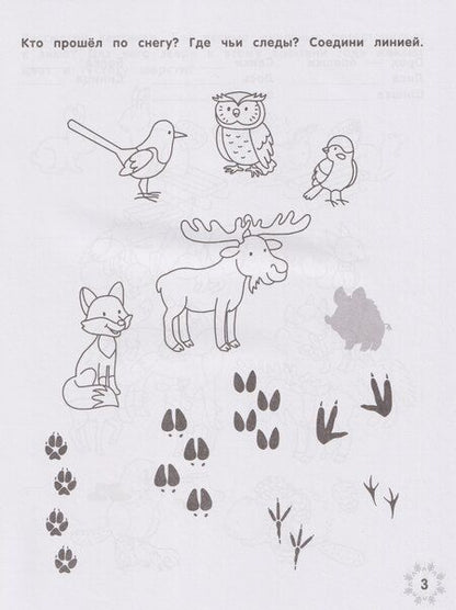 Фотография книги "Этери Николаевна: Зимние головоломки снеговика"