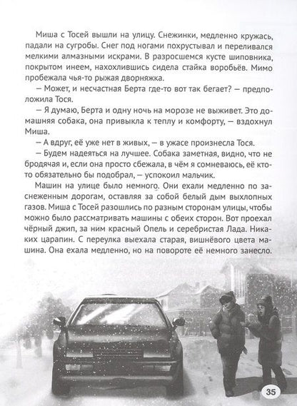 Фотография книги "Этери Заболотная: Дело о похищенной собаке"