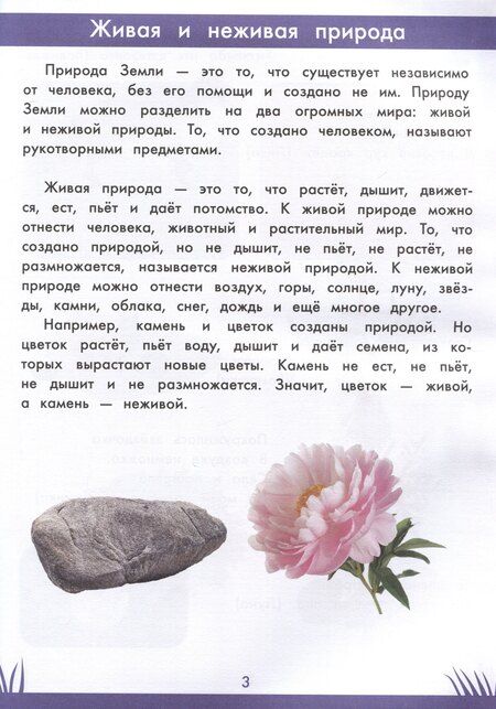 Фотография книги "Этери Заболотная: Книга знаний дошкольника. 5-6 лет: окружающий мир и многое другое"