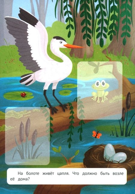 Фотография книги "Этери Заболотная: Лесное путешествие. Книжка с наклейками"