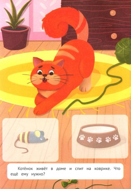 Фотография книги "Этери Заболотная: Любимые питомцы. Книжка с наклейками"