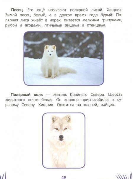 Фотография книги "Этери Заболотная: Умный дошкольник: 5-6 лет"
