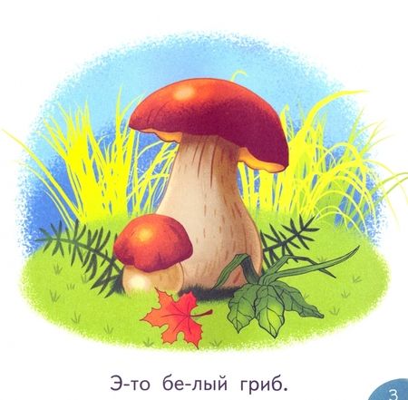 Фотография книги "Этери Заболотная: Вот это да!"