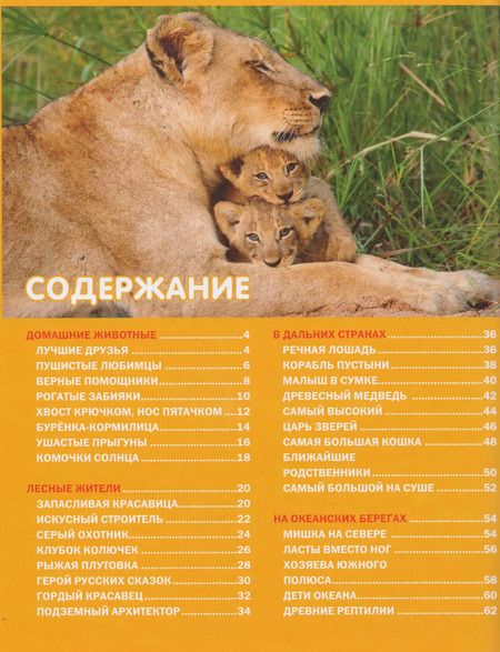 Фотография книги "Эти удивительные детёныши животных. Детская энциклопедия"