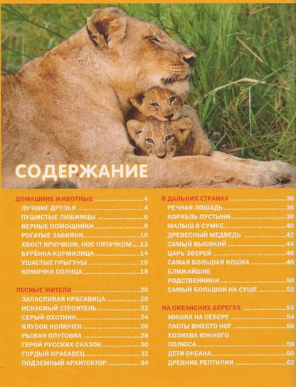 Фотография книги "Эти удивительные детёныши животных. Детская энциклопедия"