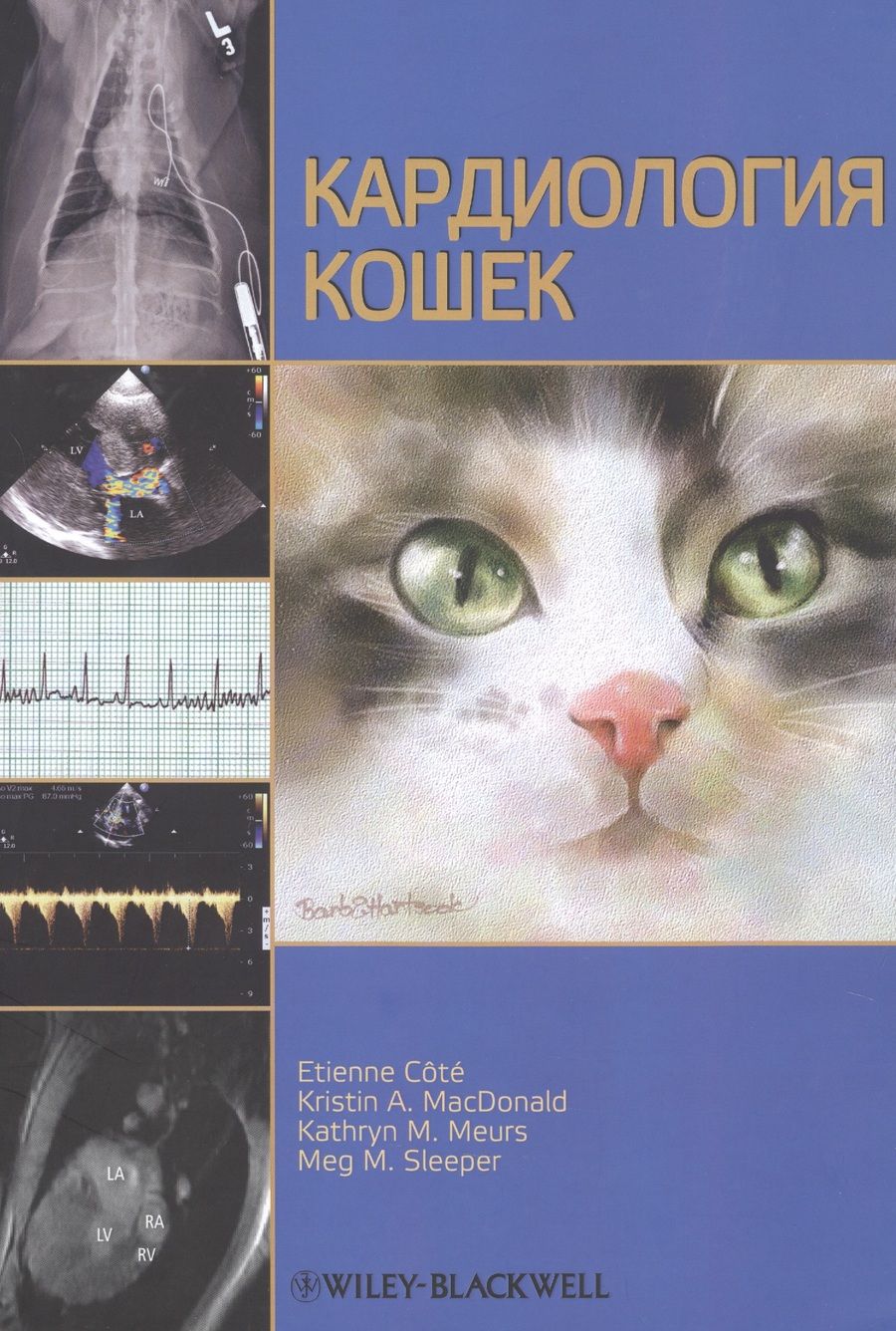 Обложка книги "Etienne, MacDonald, Kathryn: Кардиология кошек"