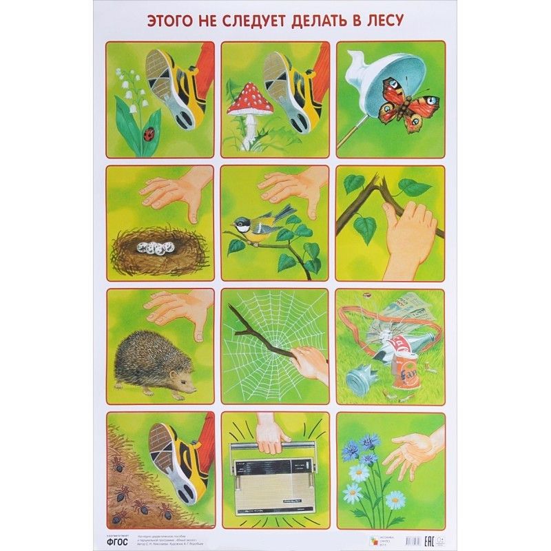 Обложка книги "Этого не следует делать в лесу 50 x 69"