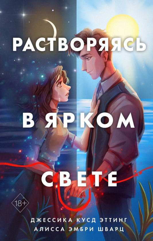 Обложка книги "Эттинг: Растворяясь в ярком свете"