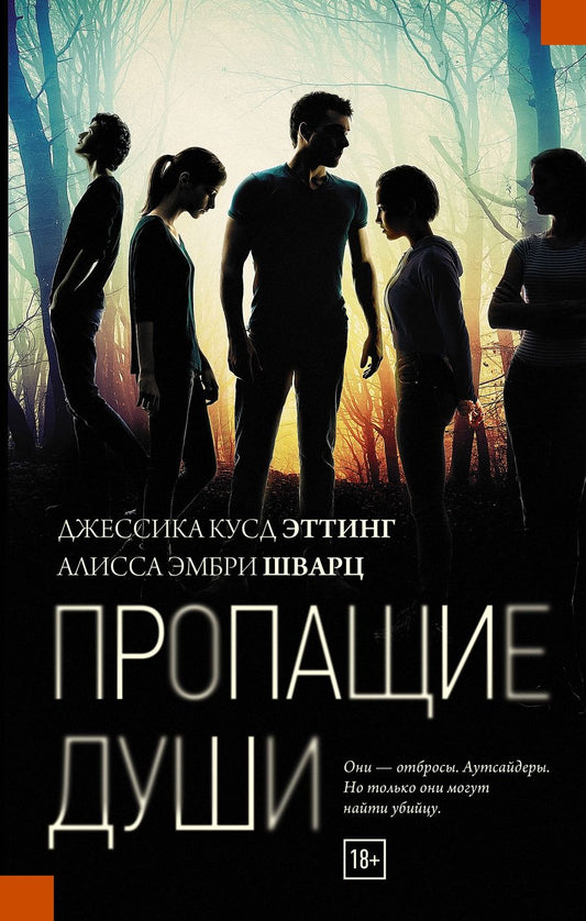 Обложка книги "Эттинг, Шварц: Пропащие души"