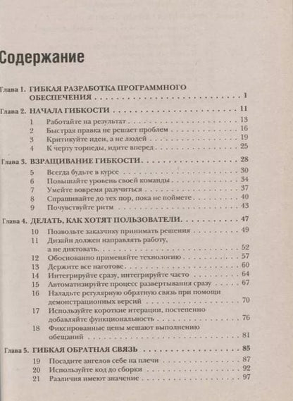 Фотография книги "Этюды на тему быстрой разработки программного обеспечения"