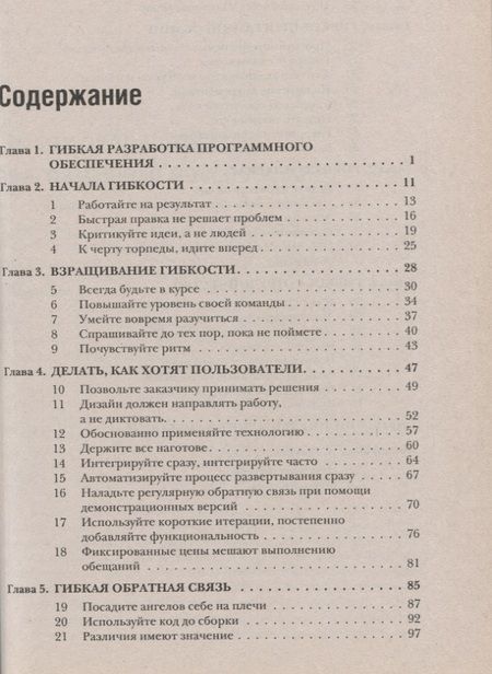 Фотография книги "Этюды на тему быстрой разработки программного обеспечения"