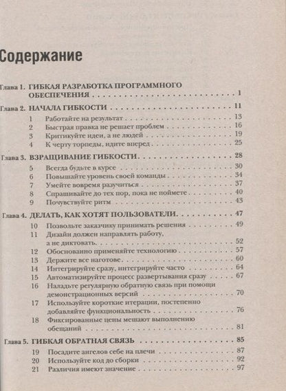 Фотография книги "Этюды на тему быстрой разработки программного обеспечения"