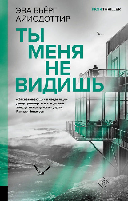 Обложка книги "Эва Бьёрг: Ты меня не видишь"