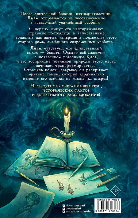 Фотография книги "Эвелин Бризу-Пеллен: Особняк. Тайна Карты вечности"
