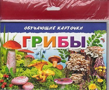 Обложка книги "Грибы/европодвес"