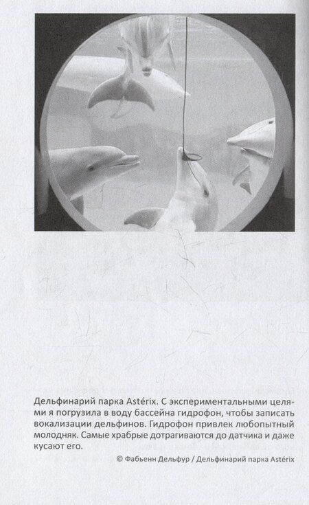 Фотография книги "Фабьенн Дельфур: С дельфинами. Навстречу удивительным существам"