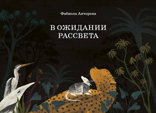Обложка книги "Фабиола Анчорена: В ожидании рассвета"