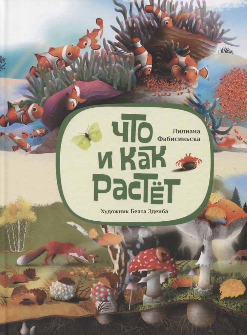 Обложка книги "Фабисинская: Что и как растёт"